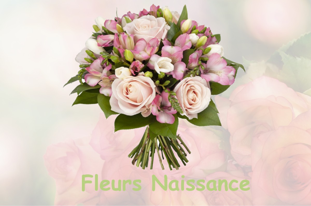 fleurs naissance SAINTE-CROIX-GRAND-TONNE
